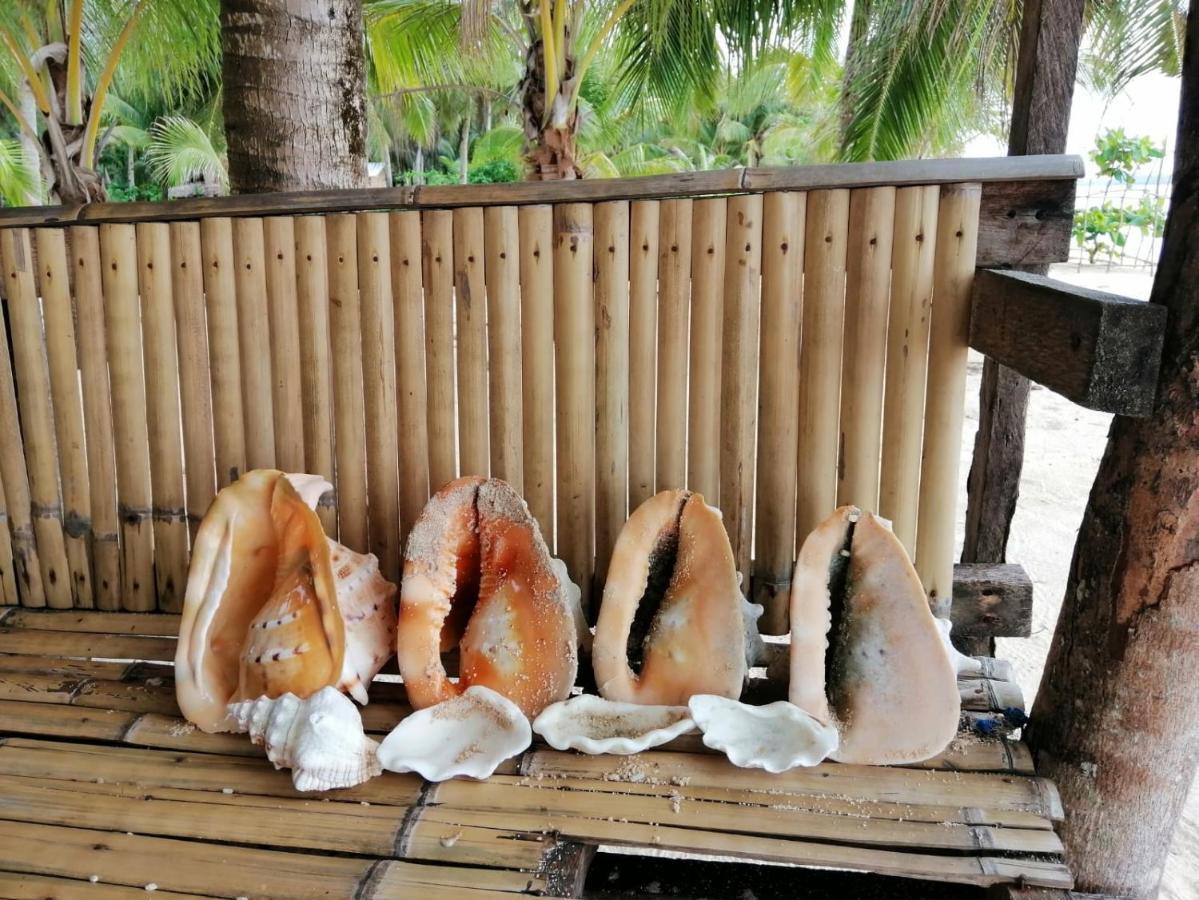 Anajawan Island Beachfront Resort General Luna  Ngoại thất bức ảnh